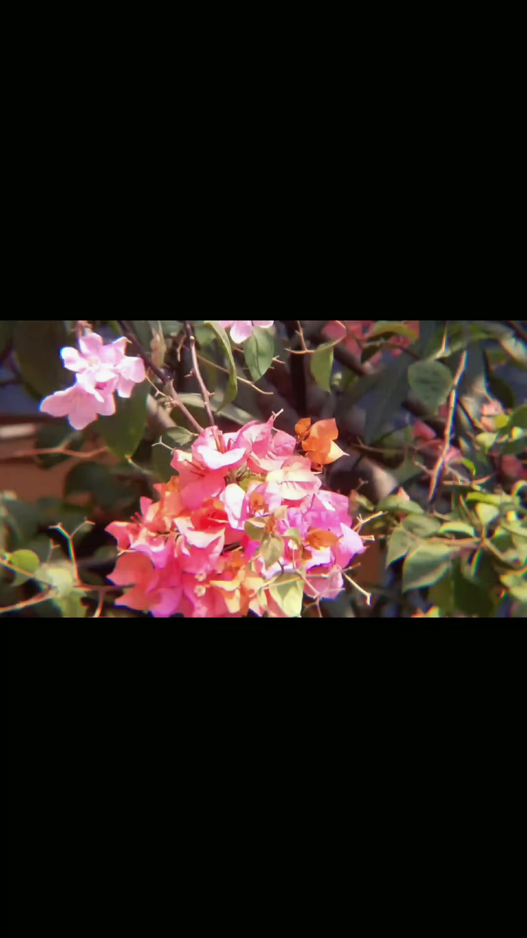 @ᴀᴢᴍɪɢᴏʀᴇɴɢ