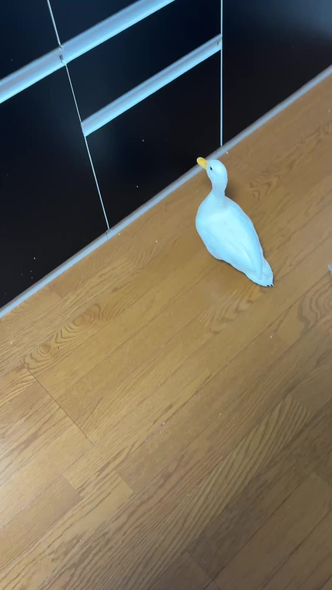 @モッチャン