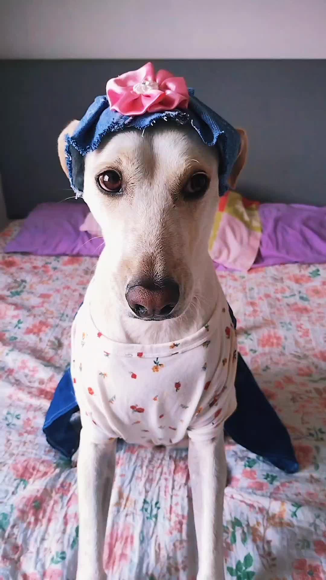@winnie ❤🦮