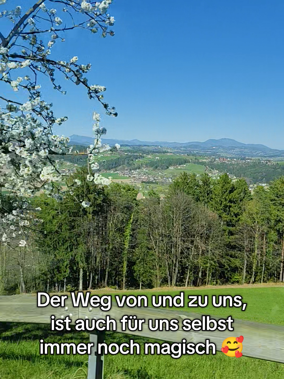 @Wiednermichl