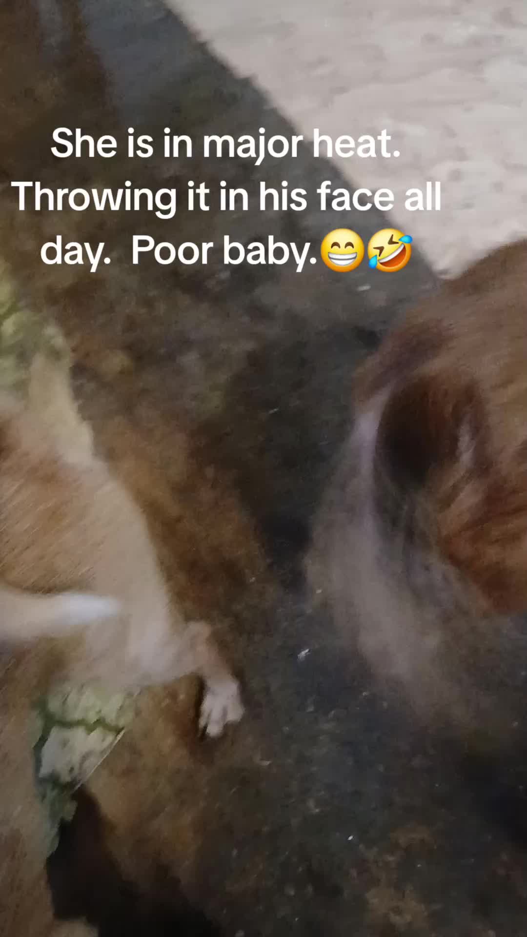 @rosarodriguez8435