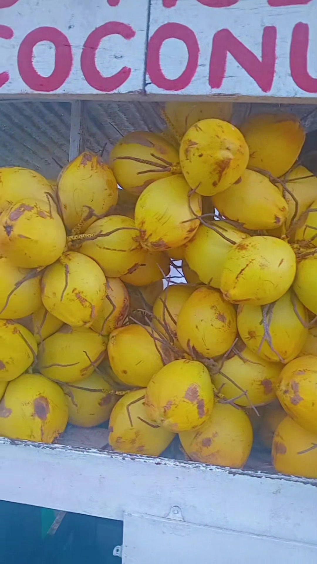 @Young Tiger Cold Coconuts🥥🌴