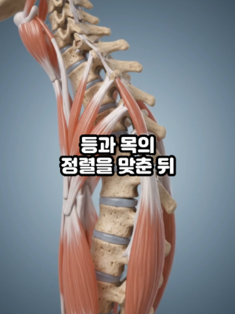 @견우한의원