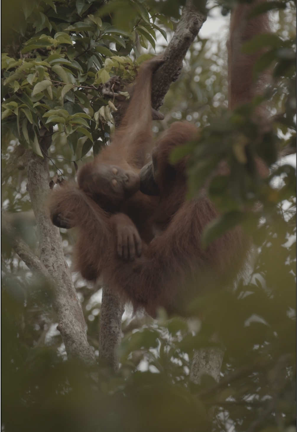 @Kai Meyer | Wildlife Filmmaker