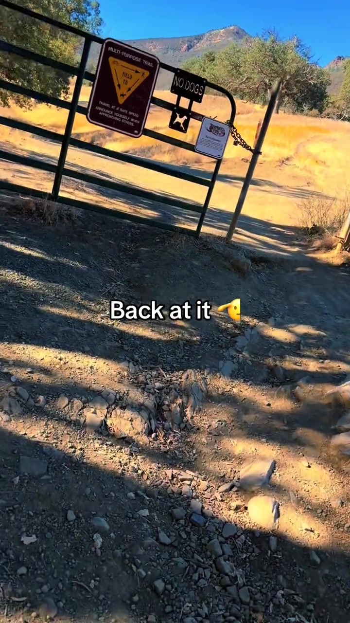 @brie_be_ontiktok