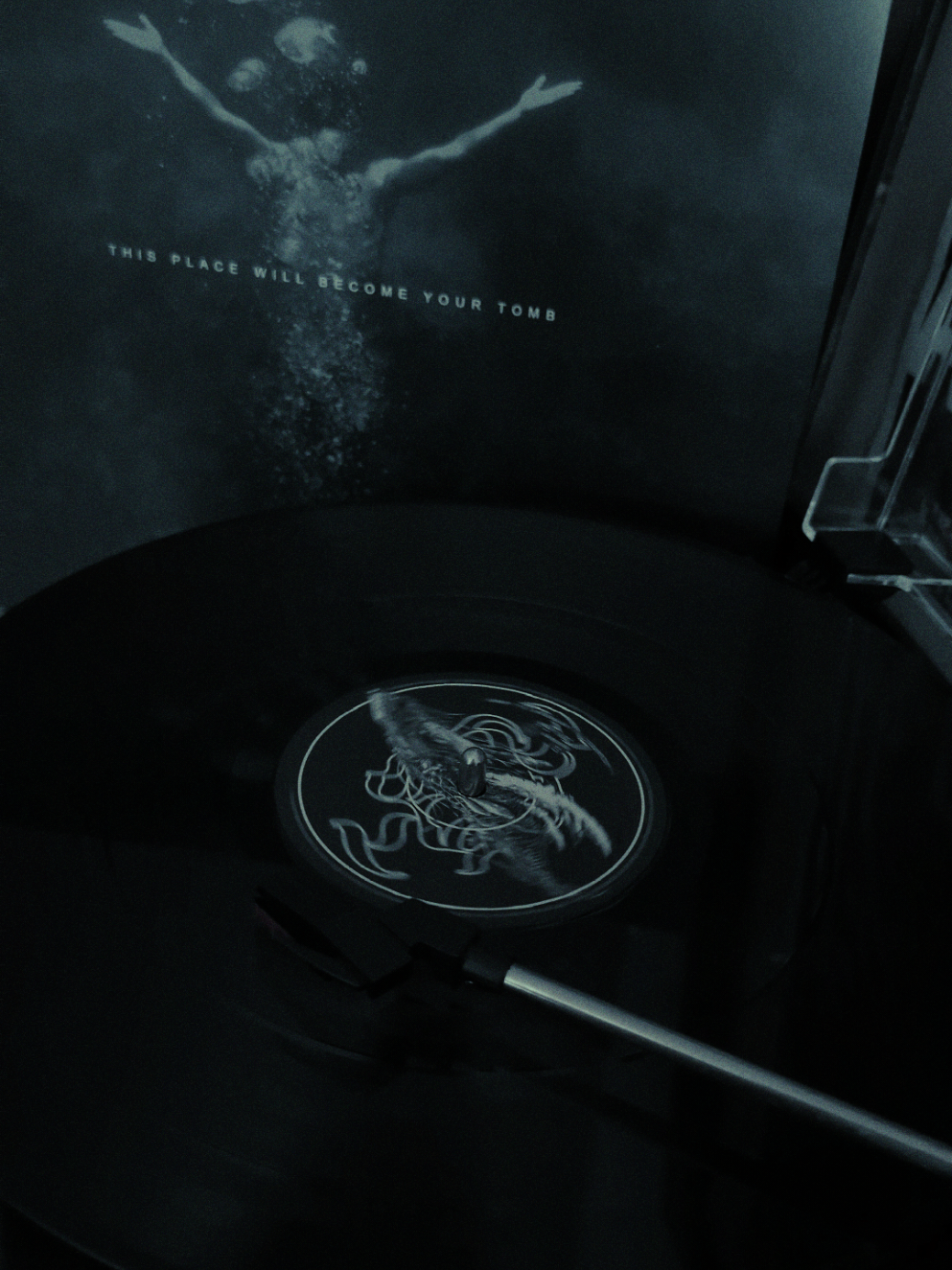 @🖤🦇 𝕸𝖔𝖞𝖆 𝕸𝖔𝖔 🦇🖤