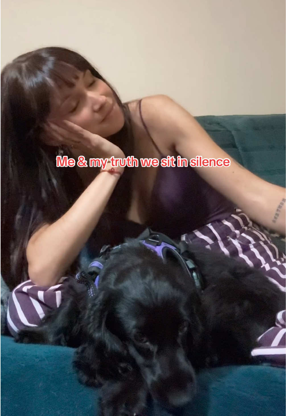 @Clauu🦕