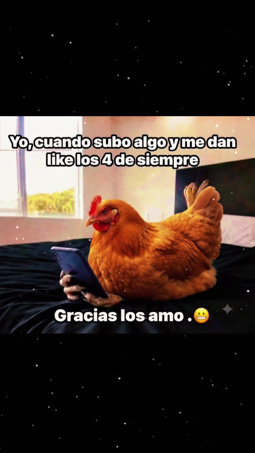 @@chonitaoficial