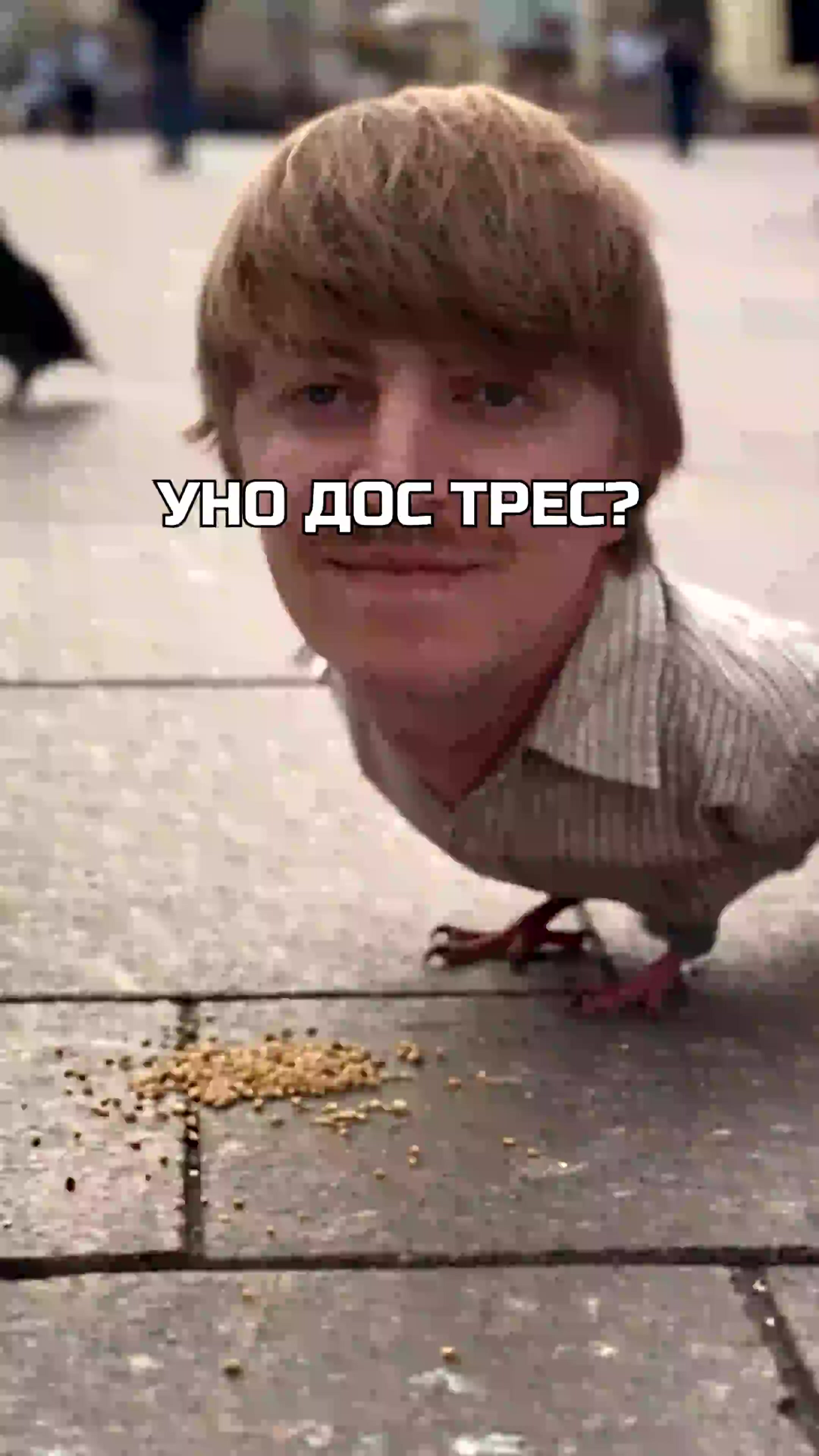 @yoxden