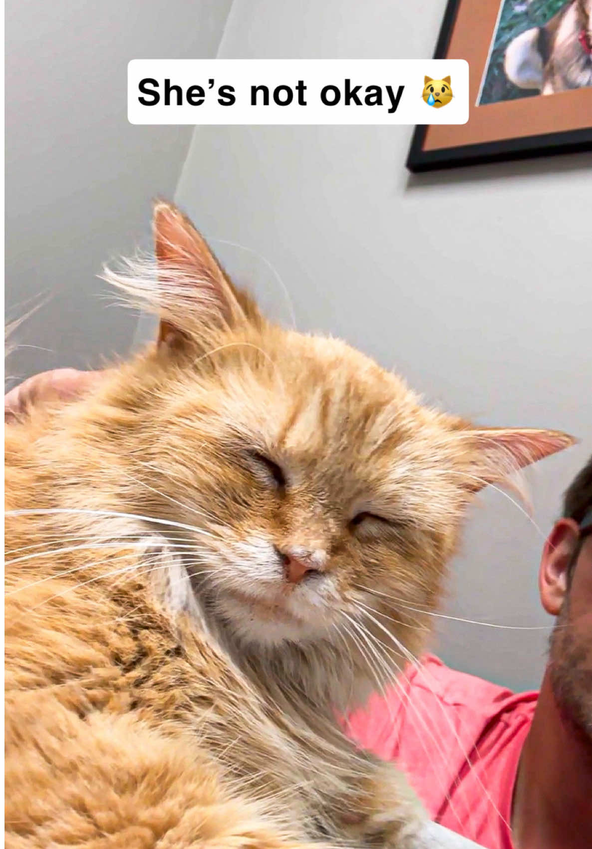 @first class whiskers
