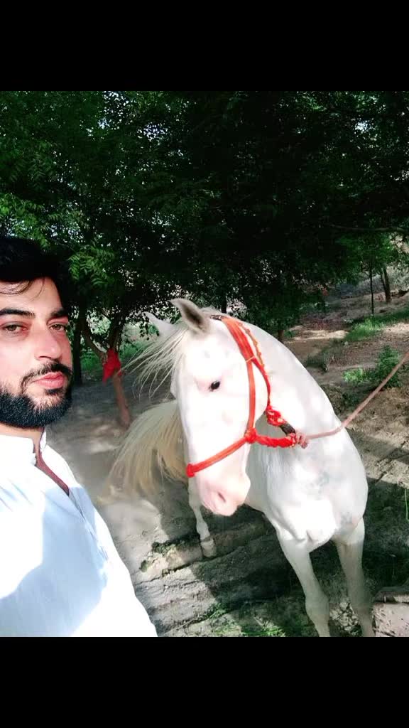 @Nayir Sunpal