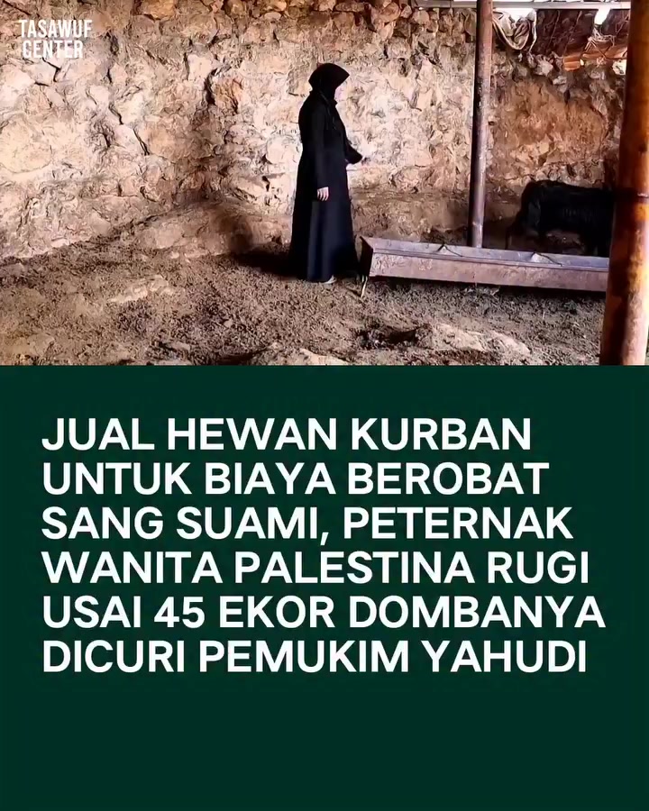 @emiaRkan
