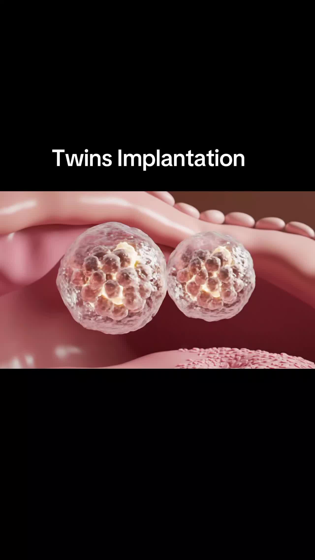 @Pregnancy Info