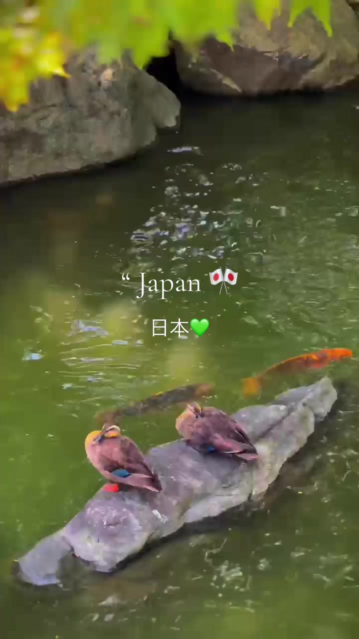 @𝒟 🎌