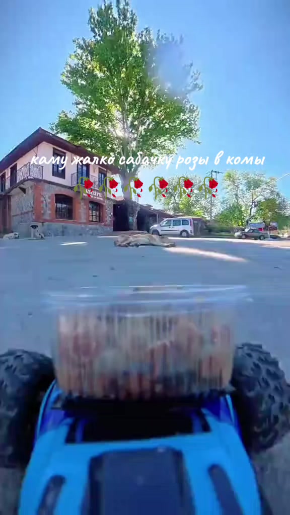 @SEDSY676767