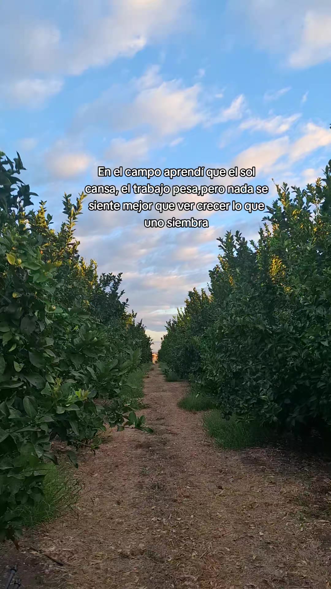 @El inge_agro🧑🌾🌽