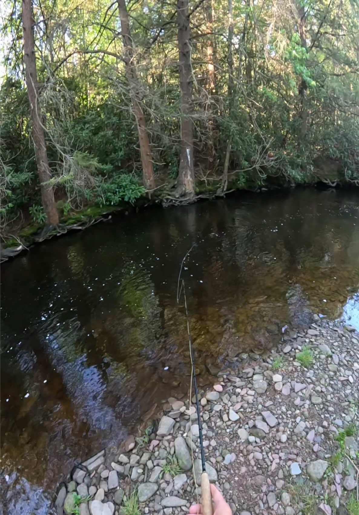 @FlyFishDelawhere