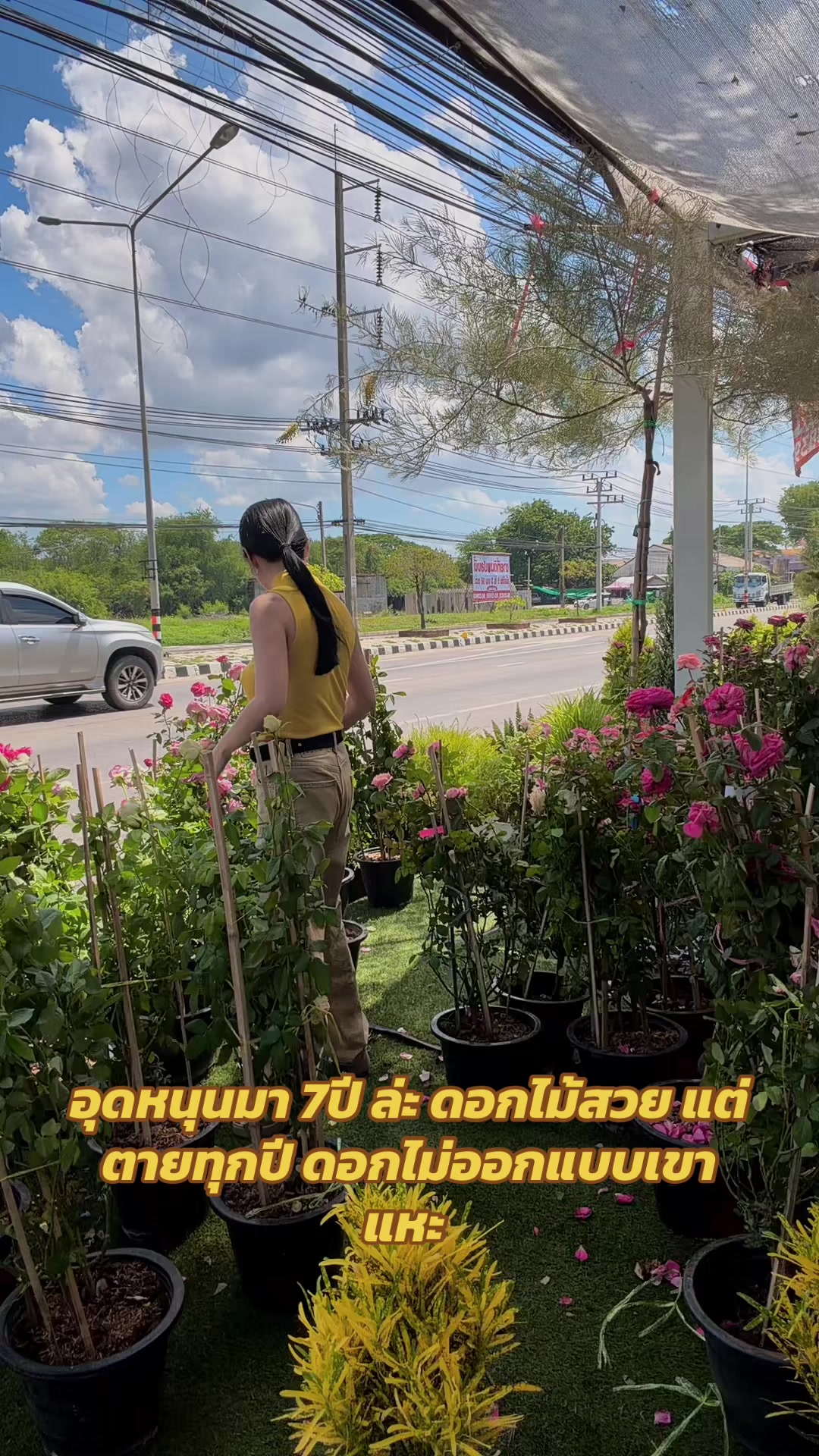 @พณัตศศิตา