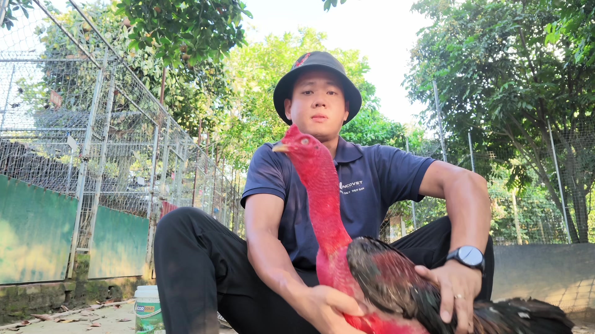 @Quyền Ba Vì