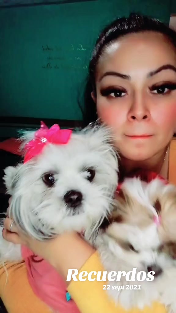 @🎀GαႦιɾυ🎀