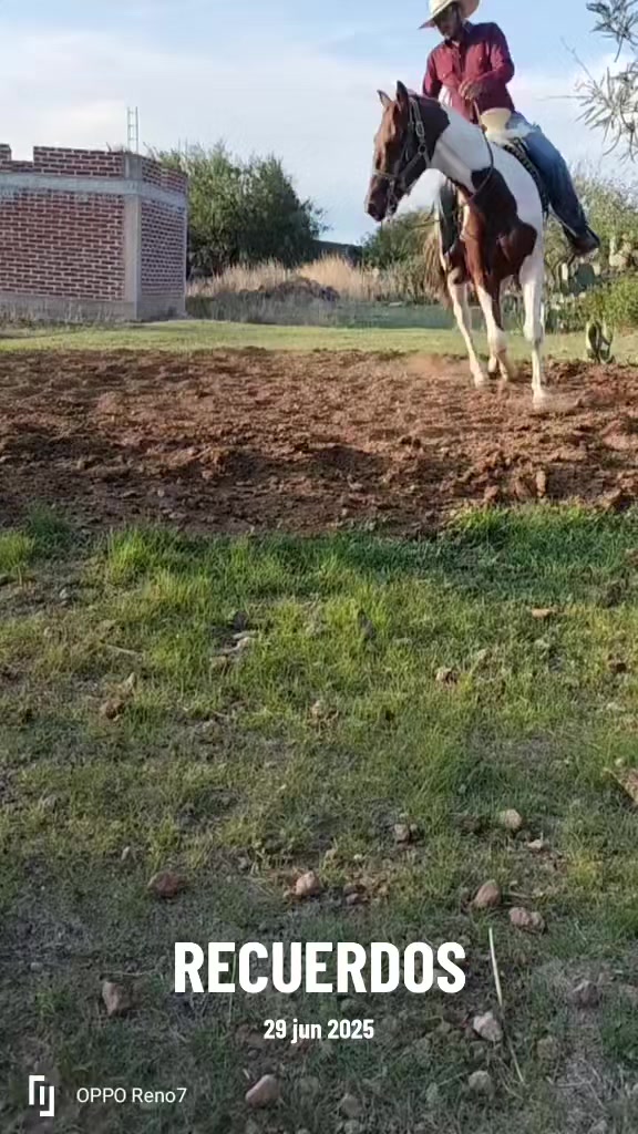 @Viejito Cordova✝️🍀❤️🐎🦅