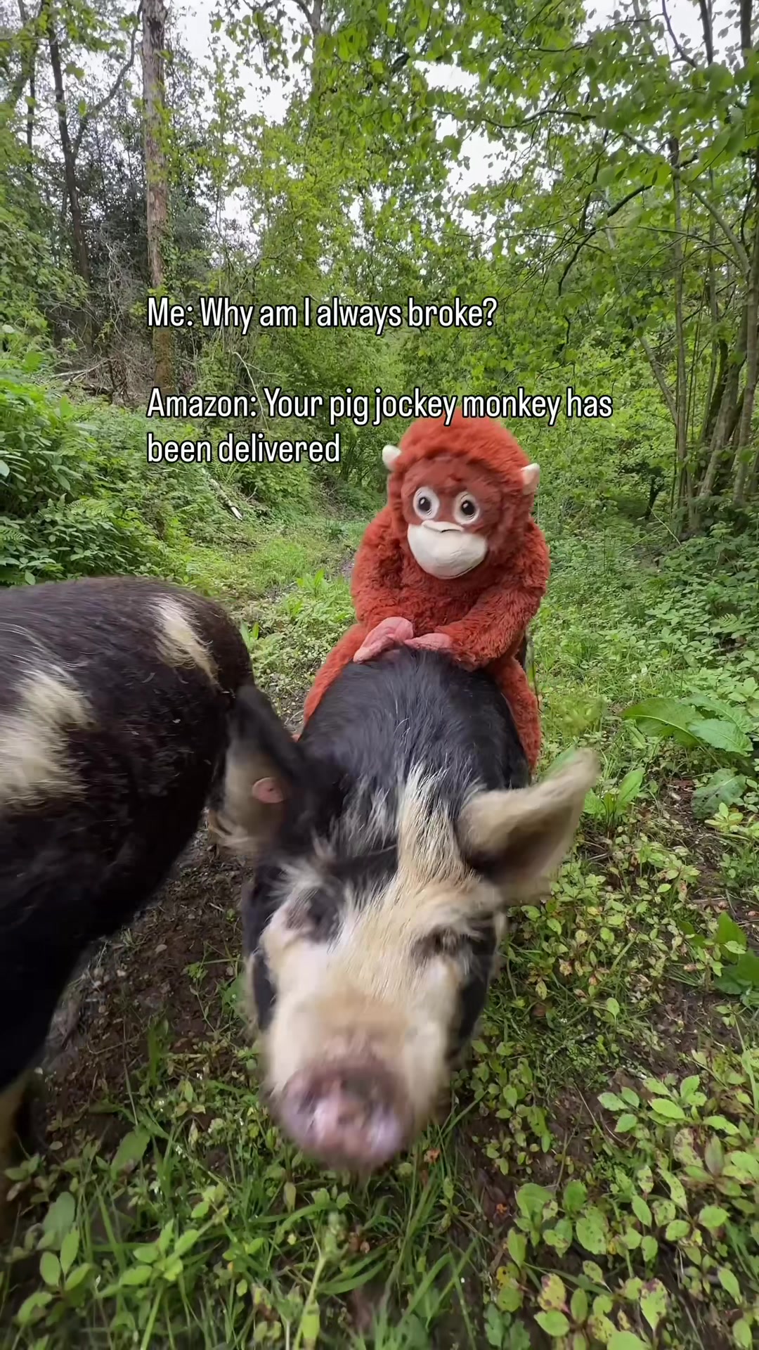 @jenlewislife