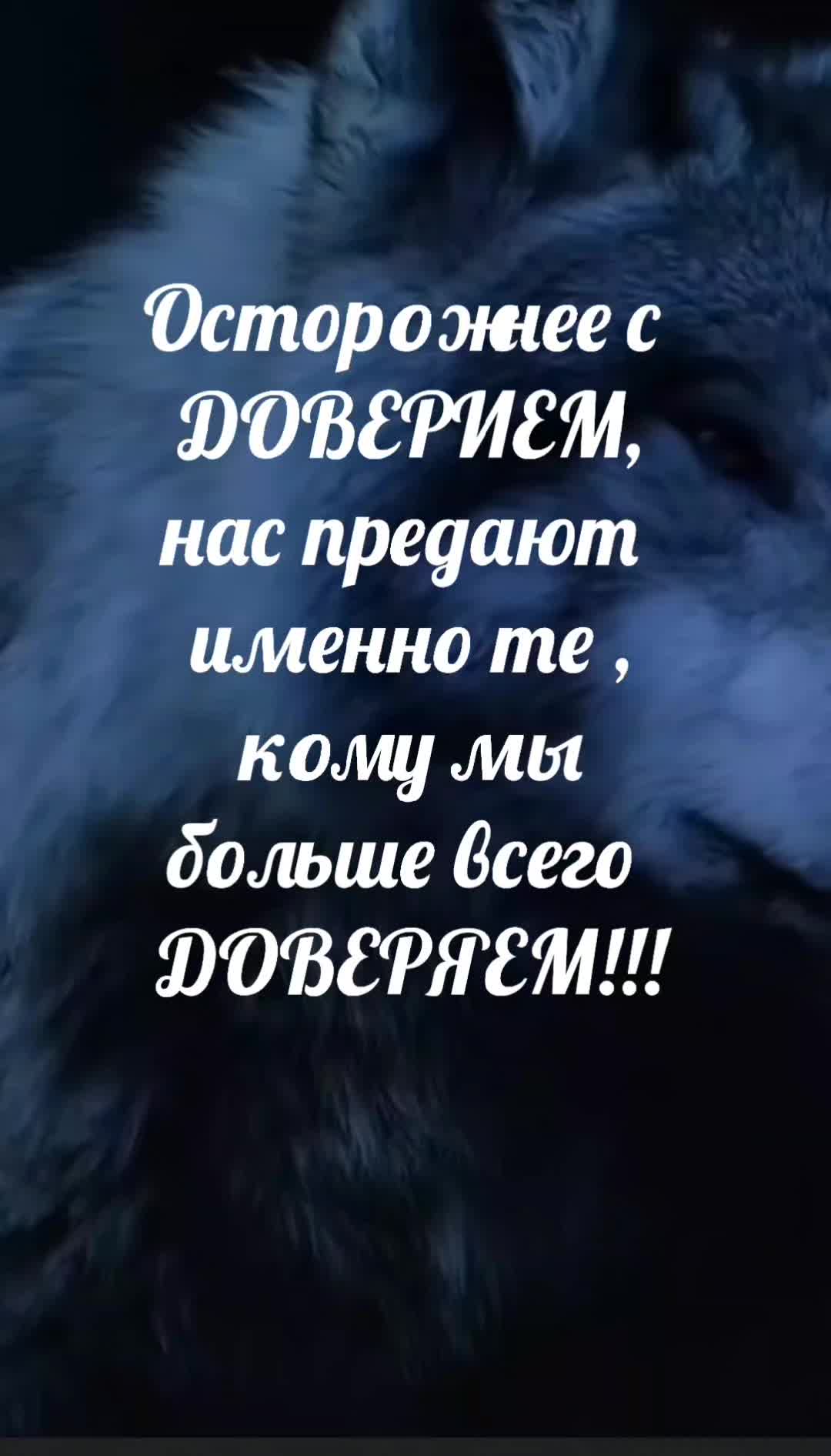 @Волчица и её волк❤️