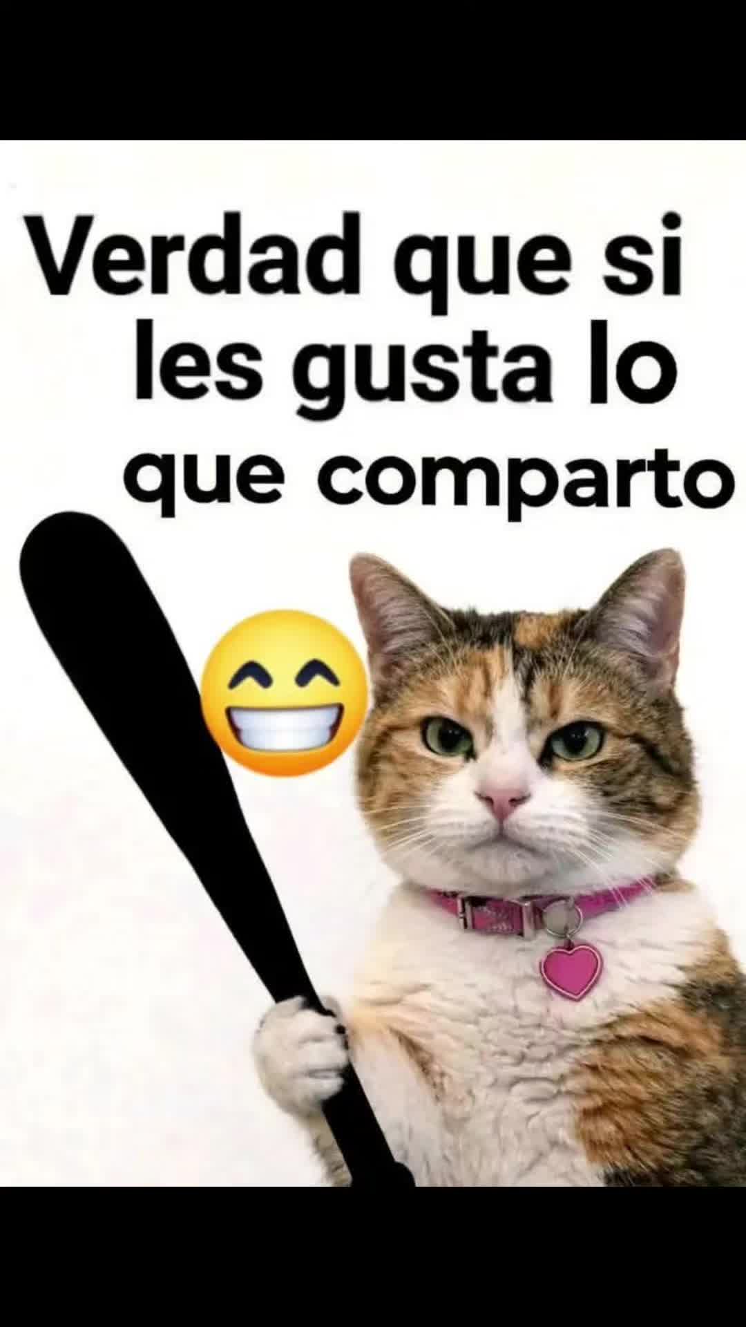 @🧚🧚CH@P@RRIT@🧚🧚🏼♀️