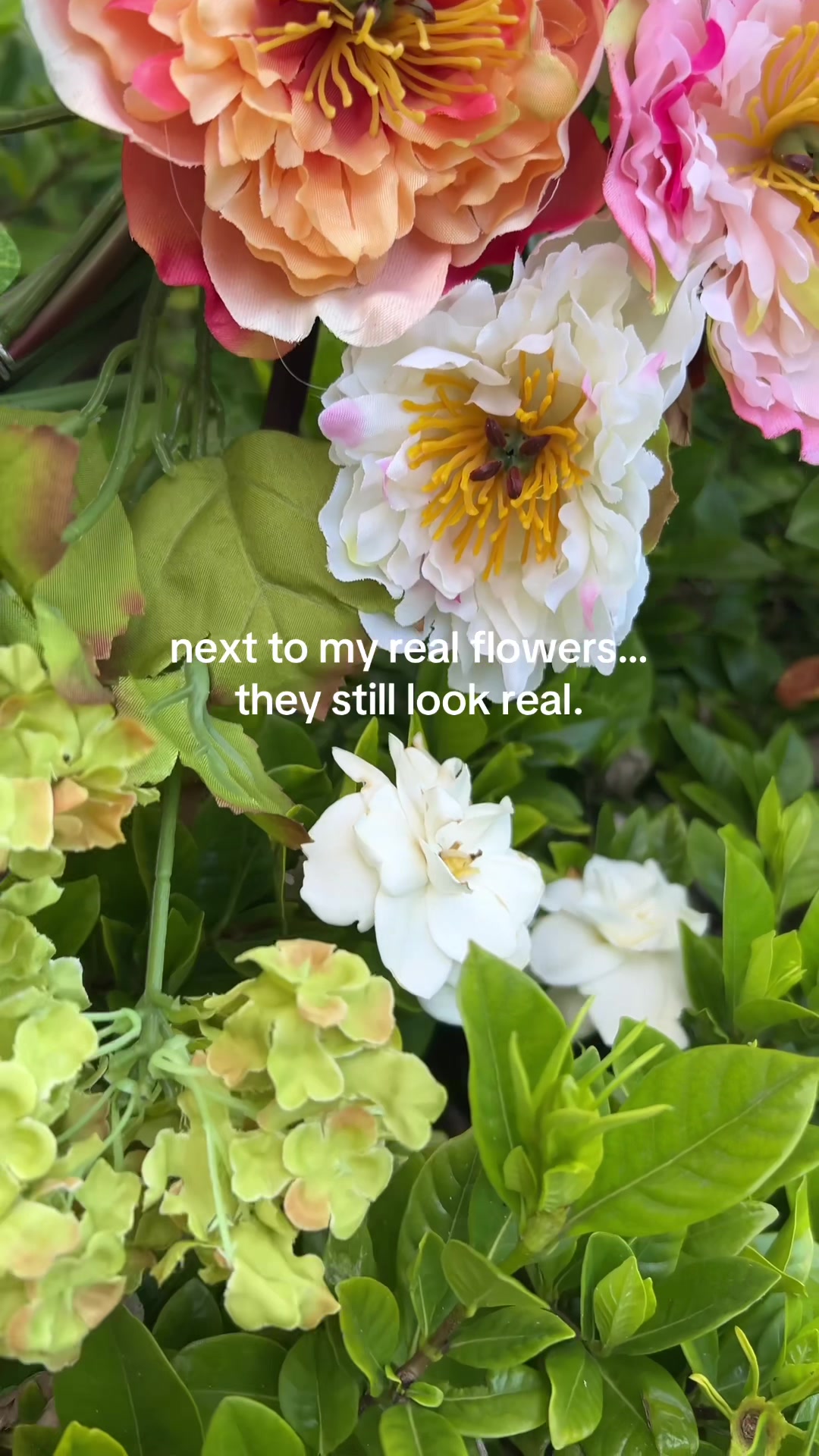 @40 year old Persian Farmer