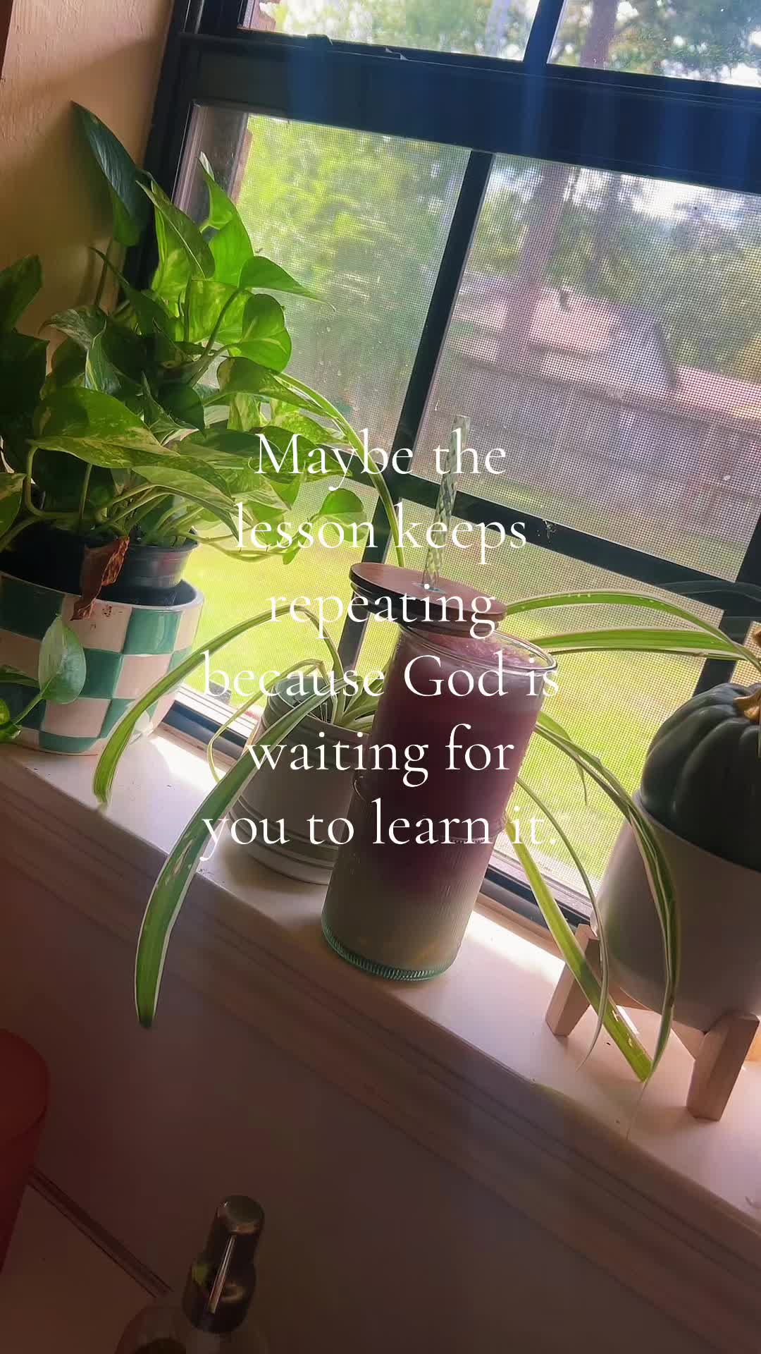 @annie.in.arkansas ๐ฉ๐ป๐พ๐ป๐งบ