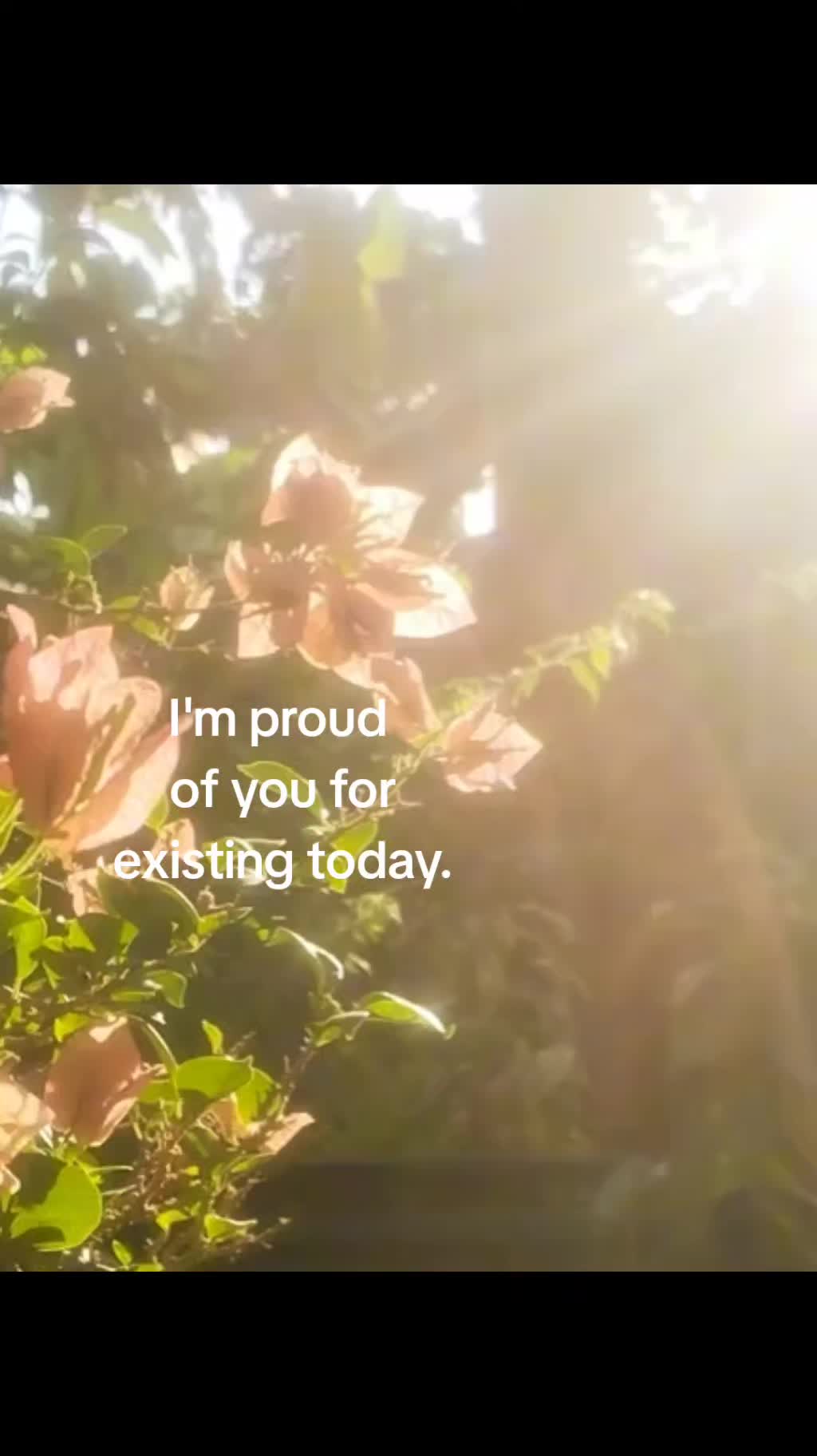 @💌𝓦𝓪𝓯𝓯𝓵𝓮🪽(2.5k🍥☁️)
