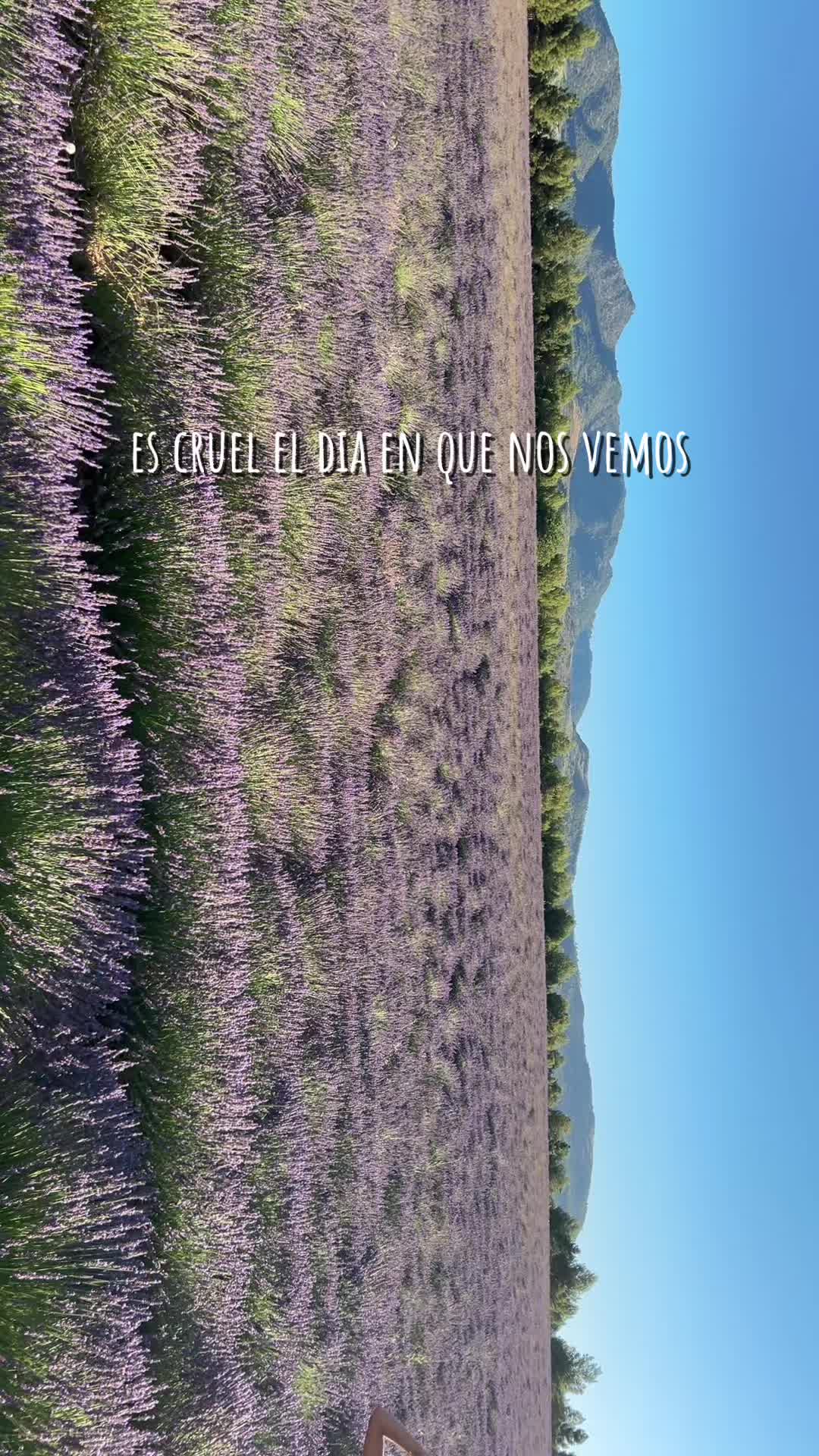 @claudia arenas