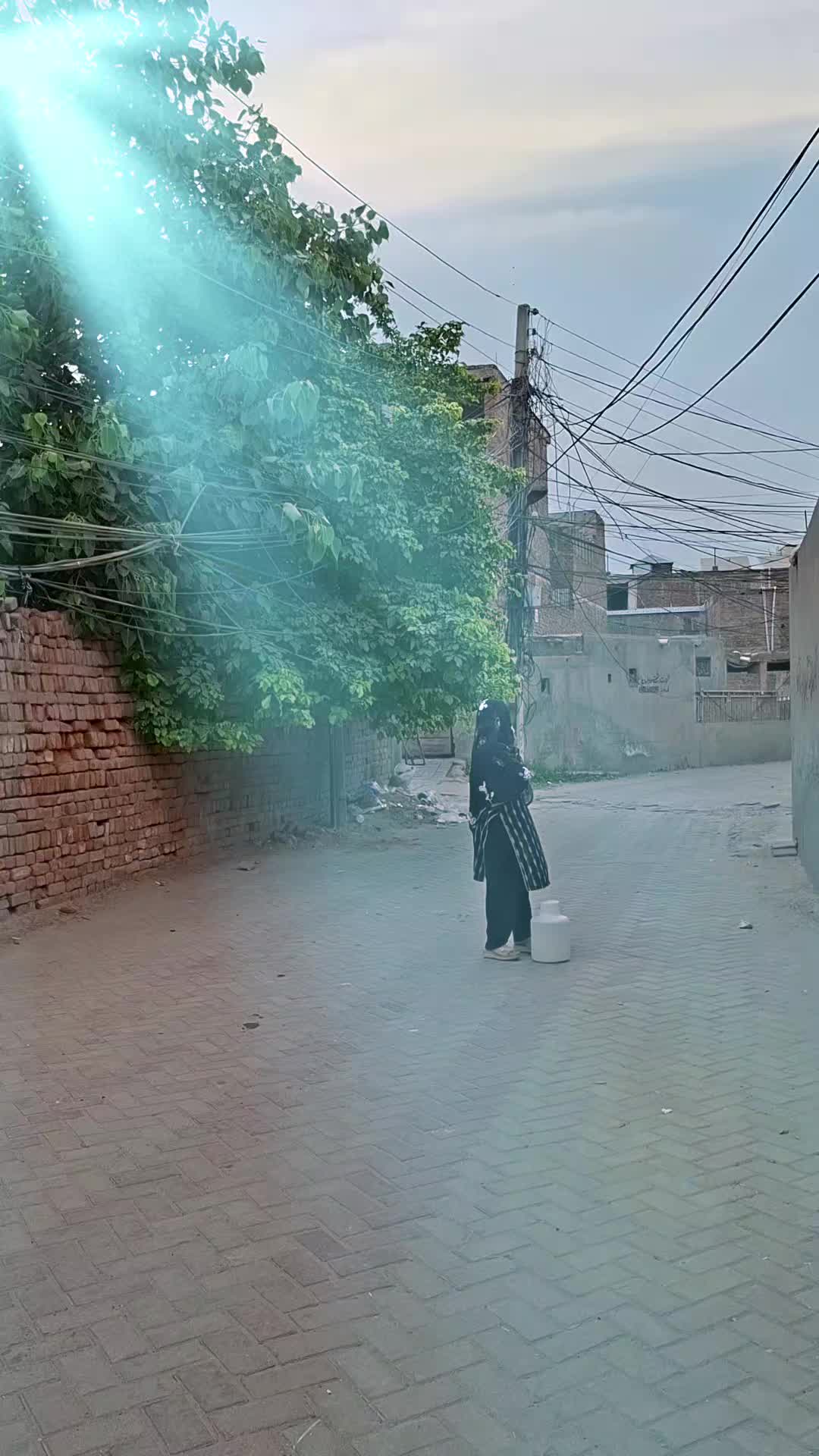 @syeda shaina Ali shah