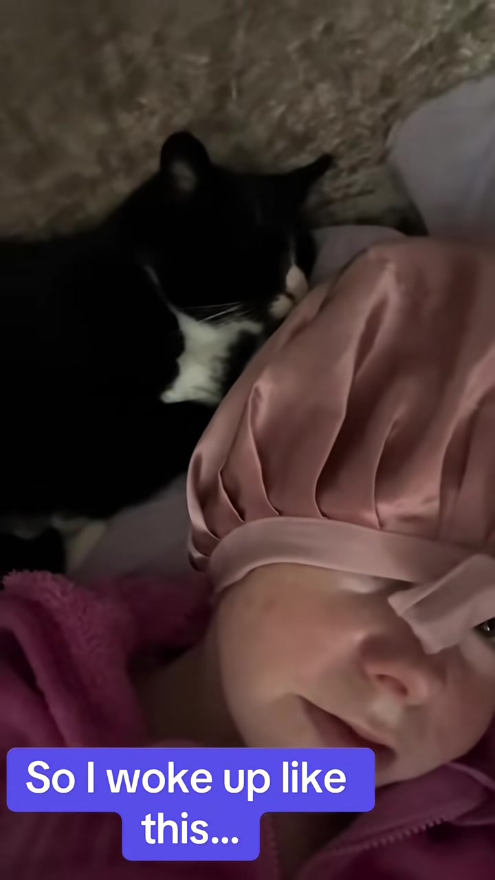 @Em feat. Mister & Mimi (cats)