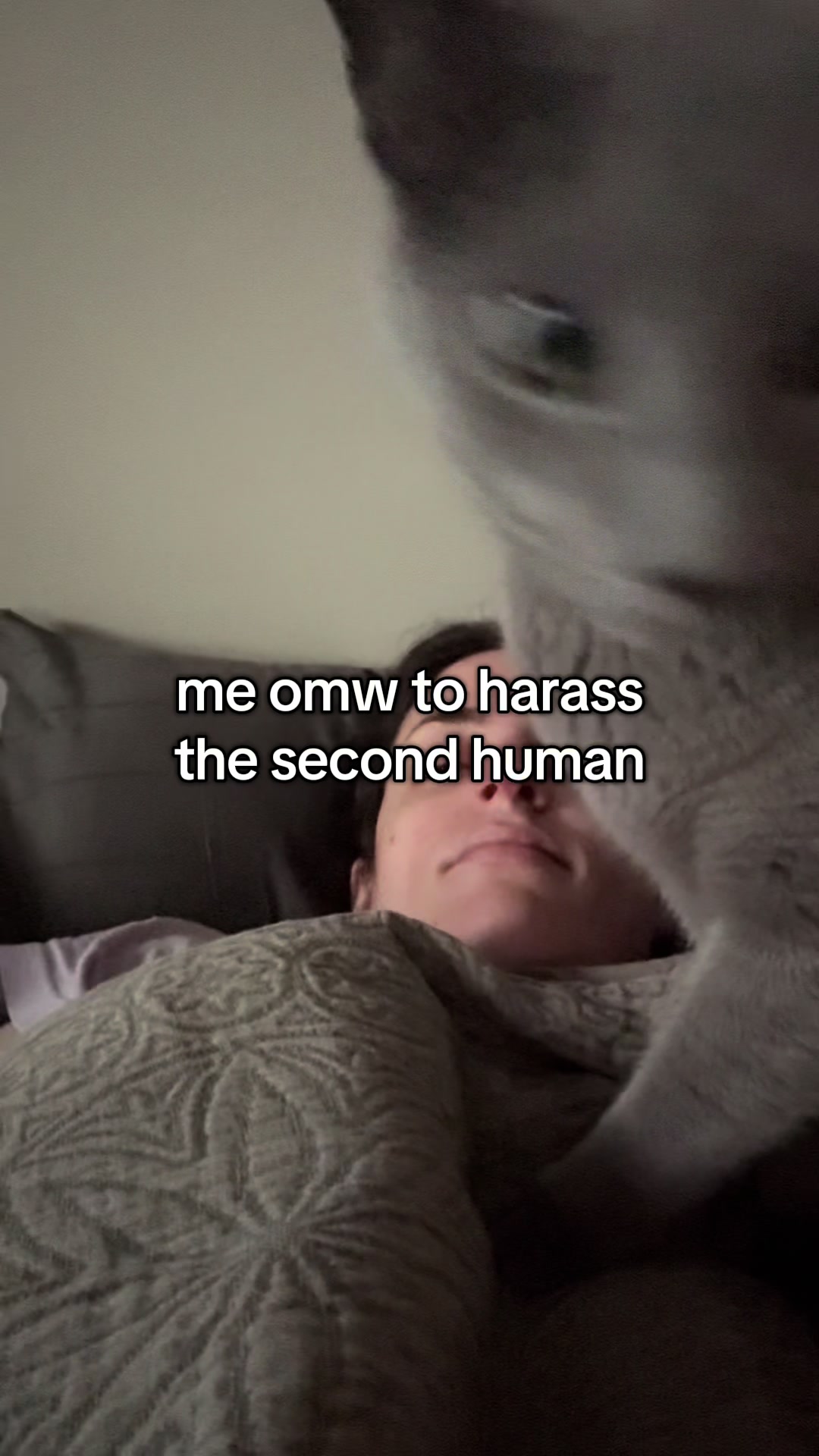 @rebeccawahls