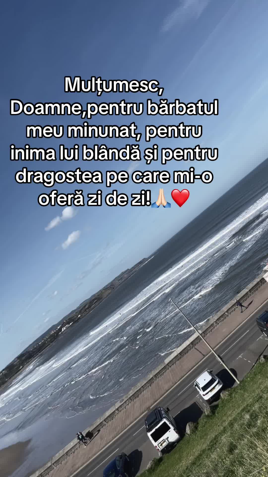 @Lidia Dobre