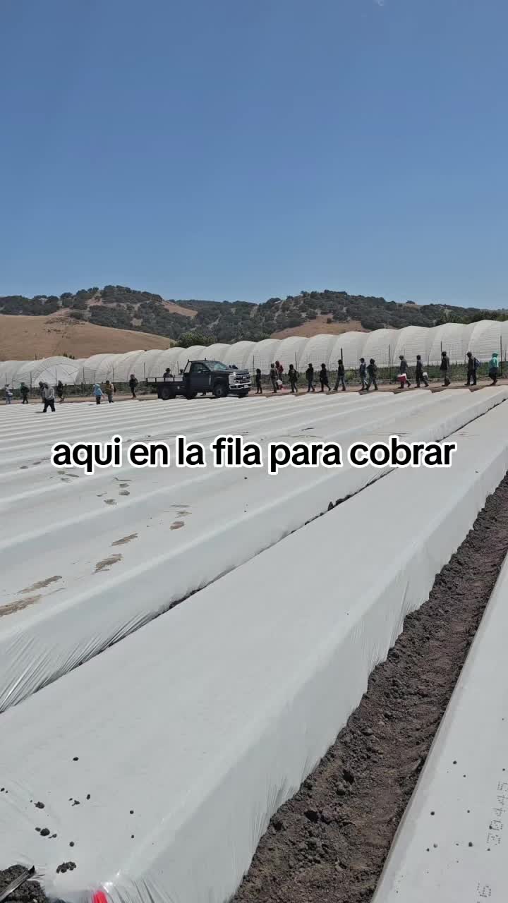 @🇲🇽🐦⬛🪺VASQUEZ🚚🌪💎