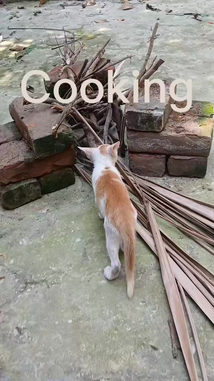 @Mon