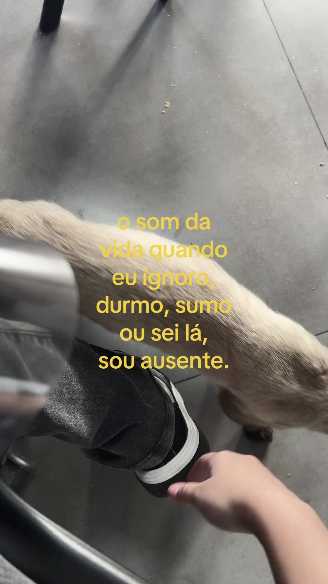 @Lara mel ࿓