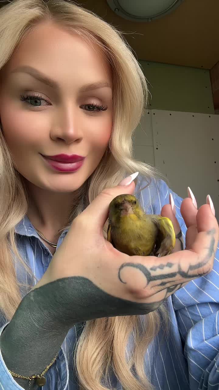 @henriettexo