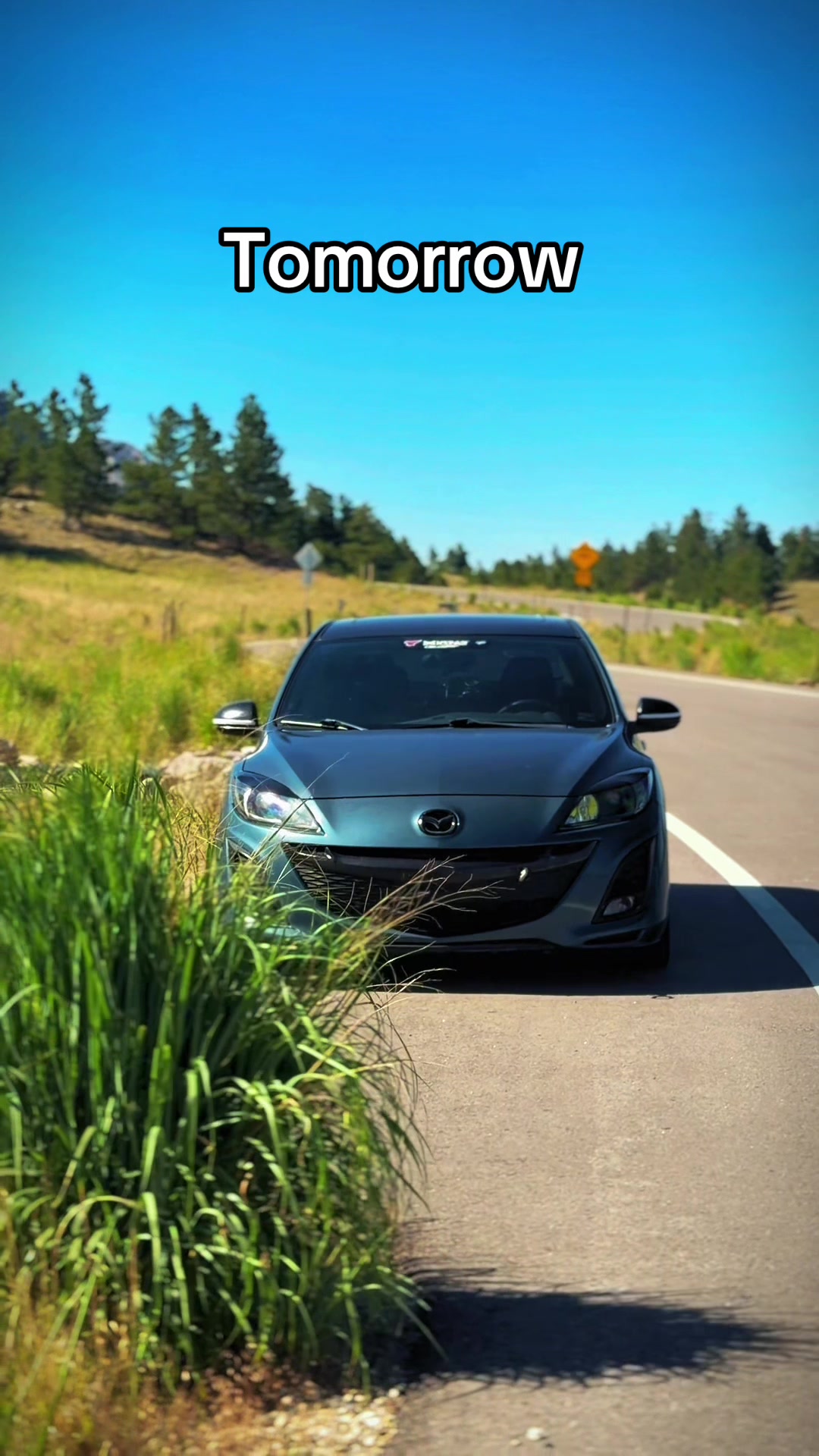@Toothless3