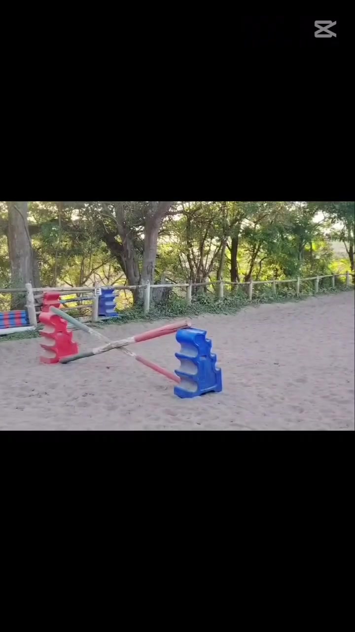 @equestrian