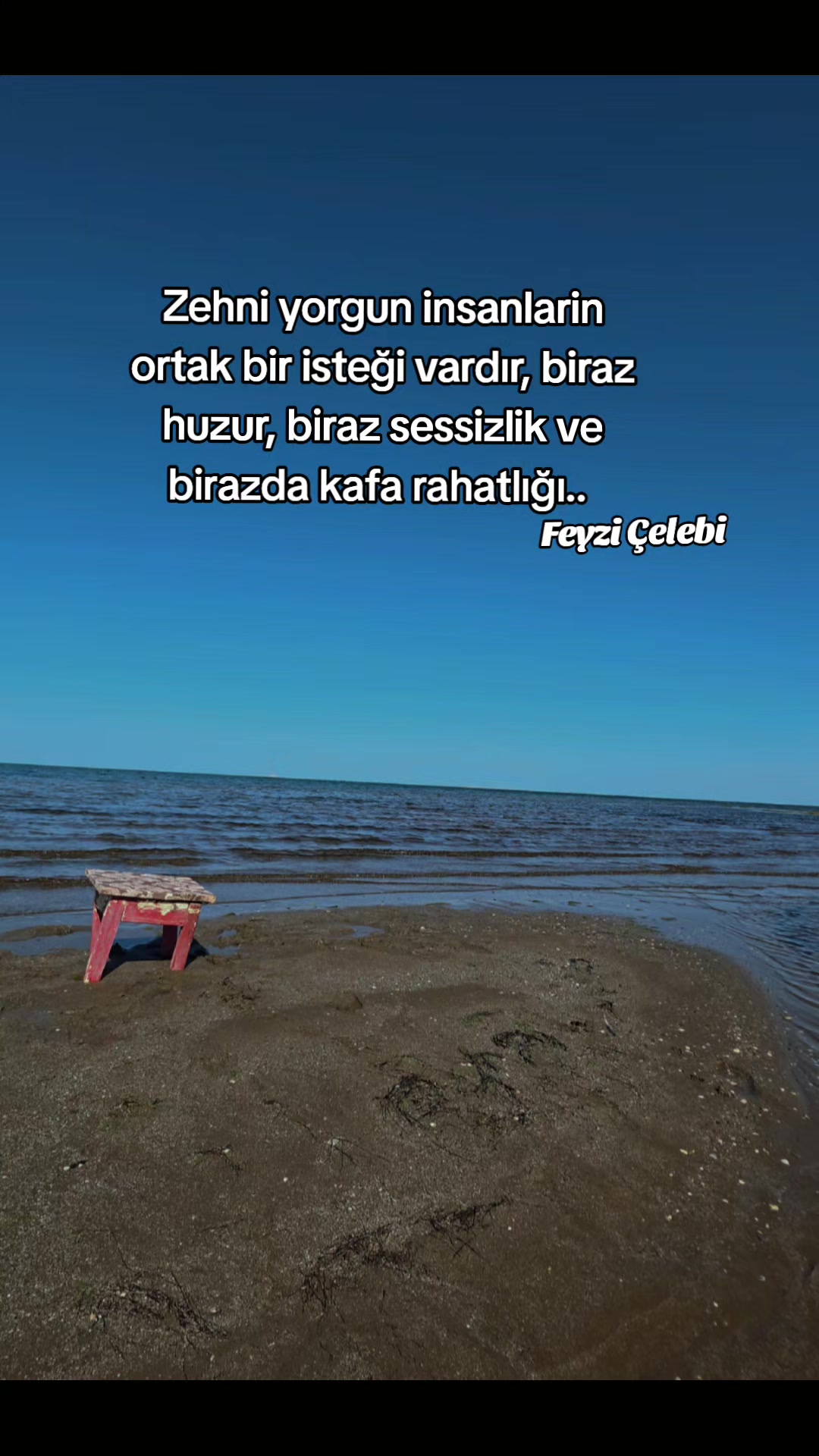 @memmedova