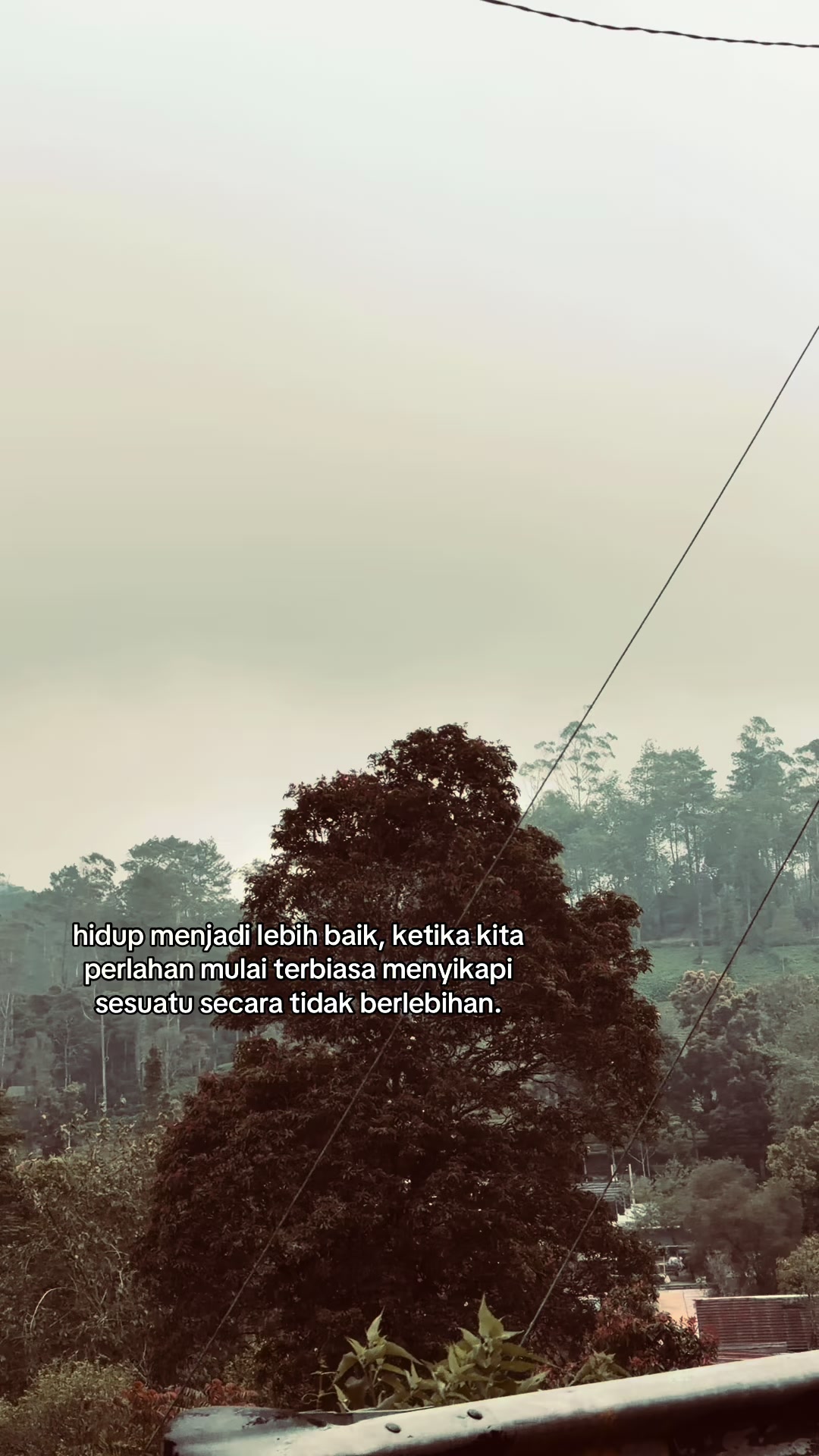 @ㅤ
