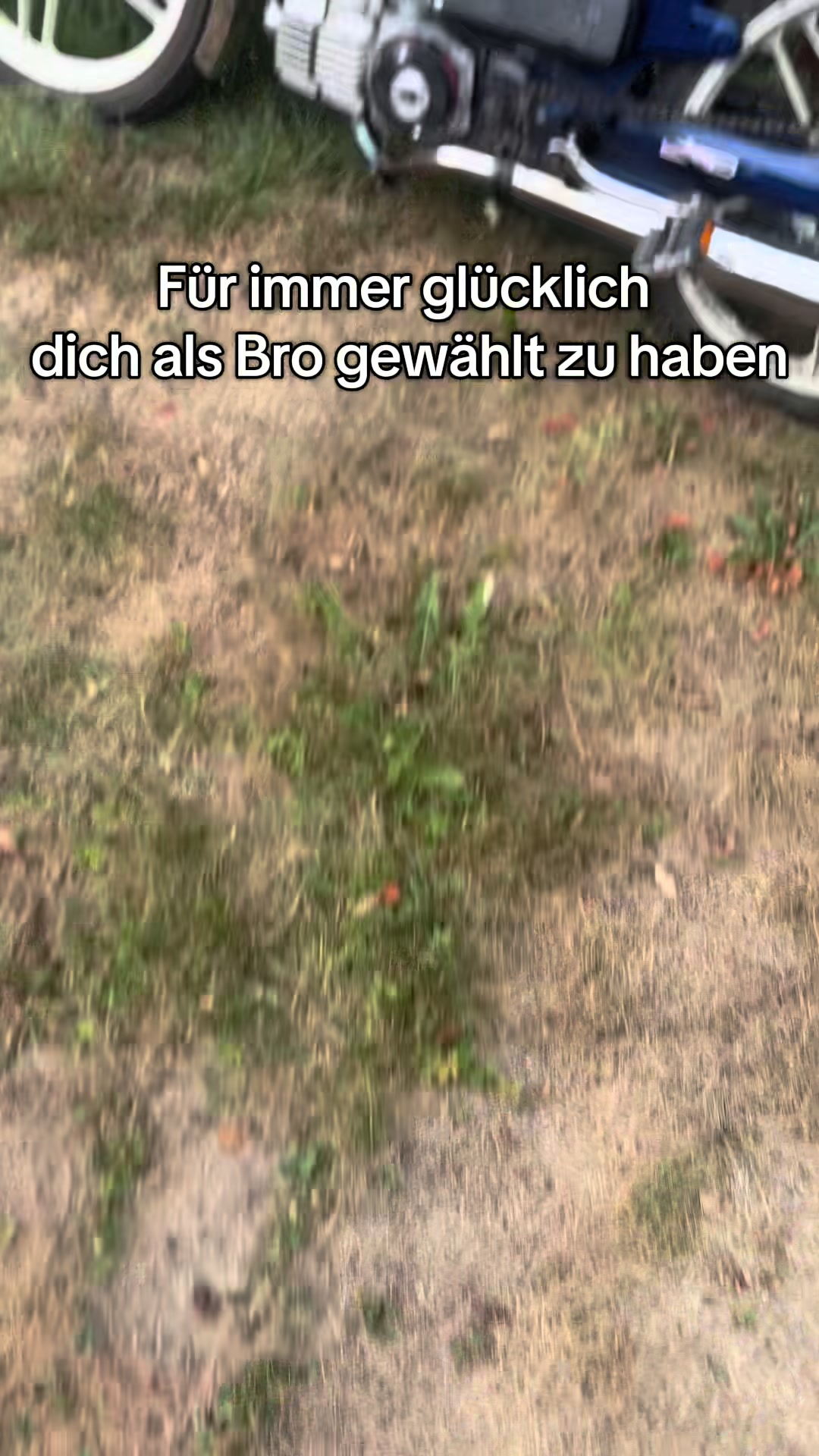 @BlueMaxiLevin