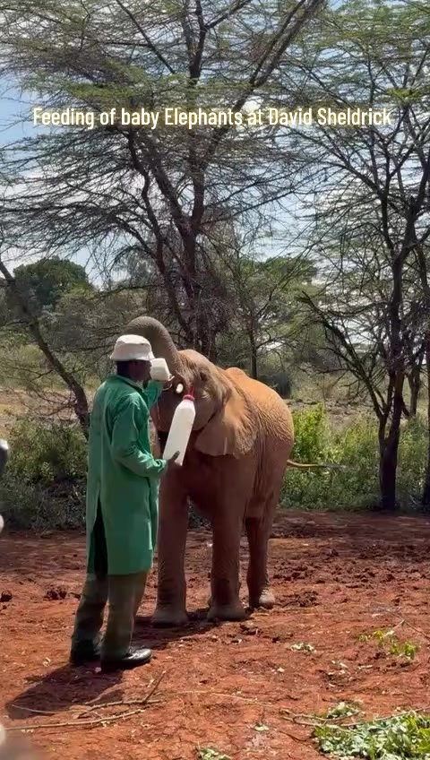 @uniquepreensafaris