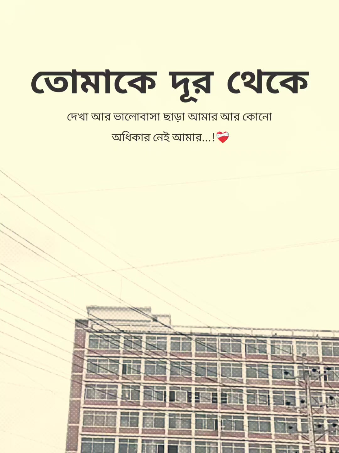 @꧁⭑শেষ পৃষ্ঠা⭑꧂