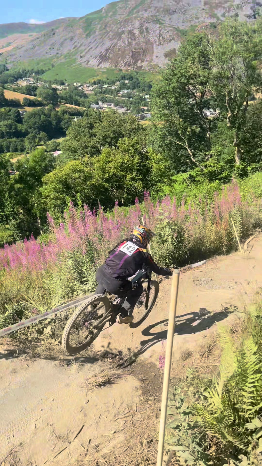 @🚲𝑫𝒂𝒊𝒔𝒚🚲