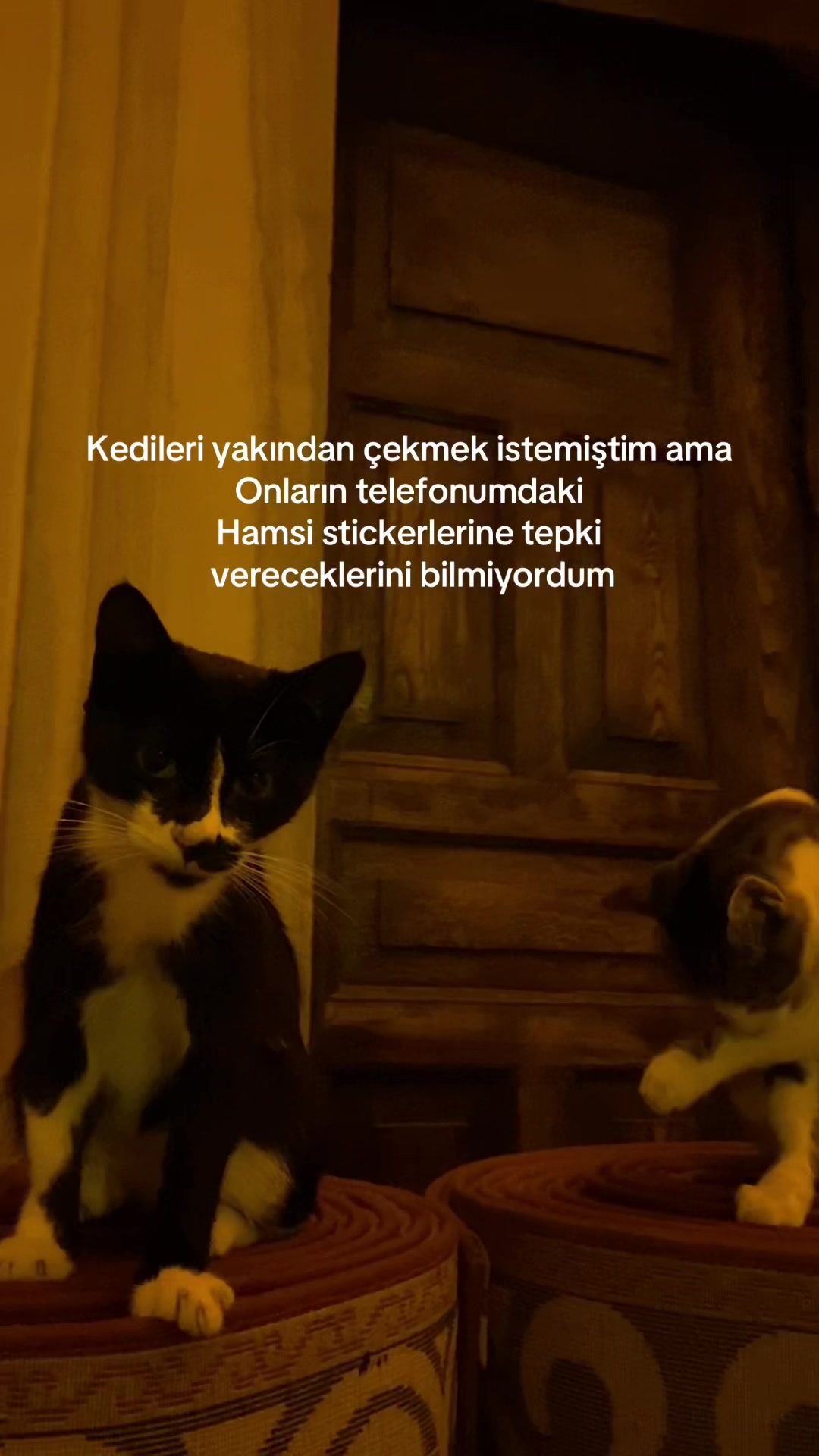 @sueminelly