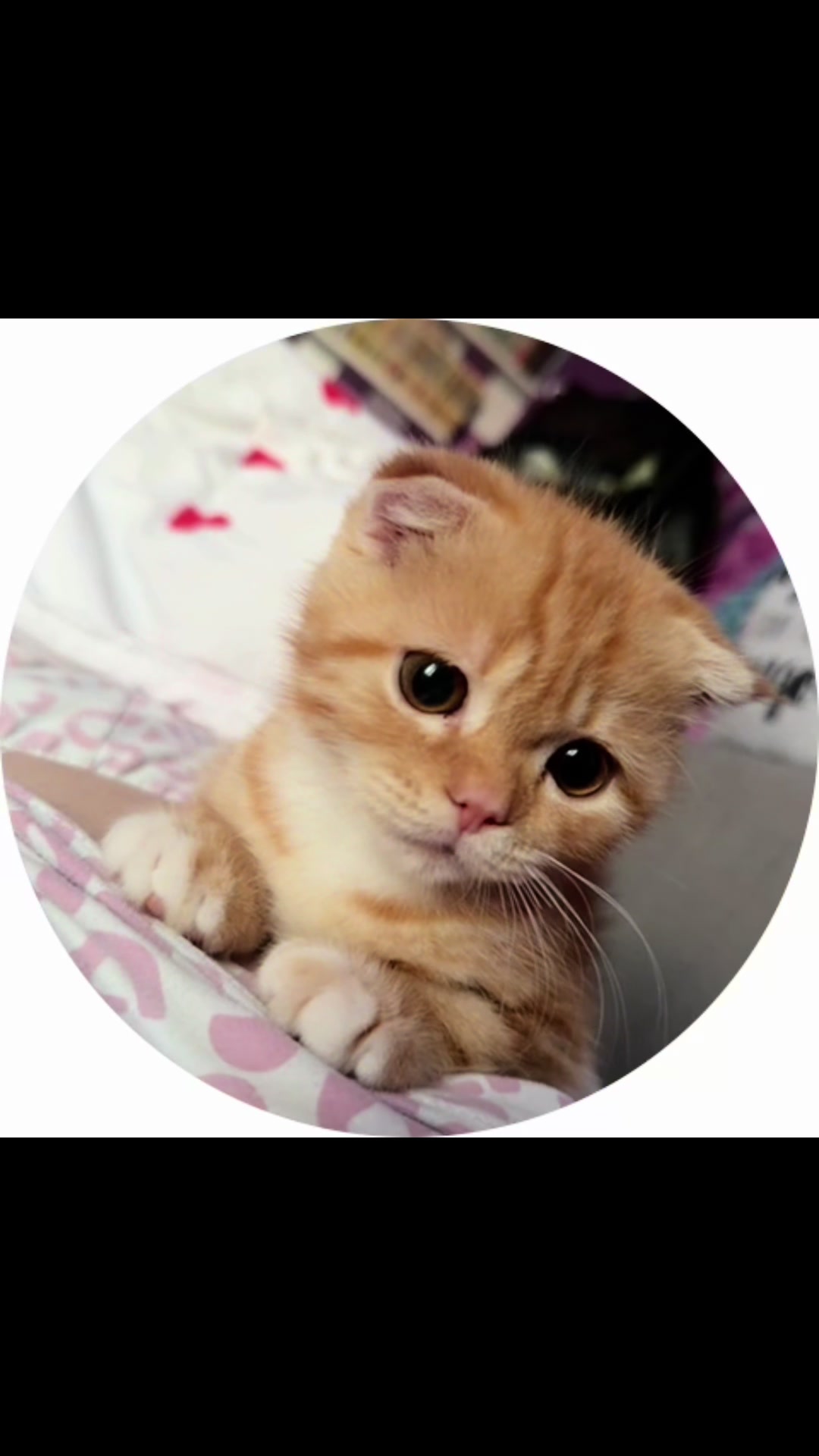 @Tgk: Tanushha